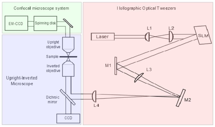 Fig. 1