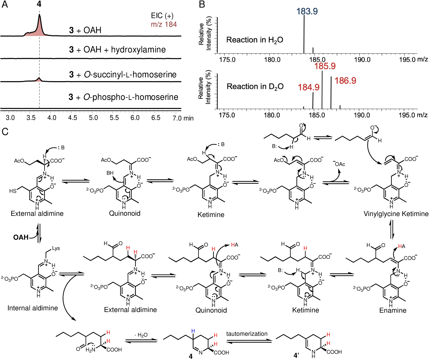 Figure 4.