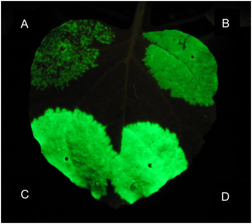 Figure 2.