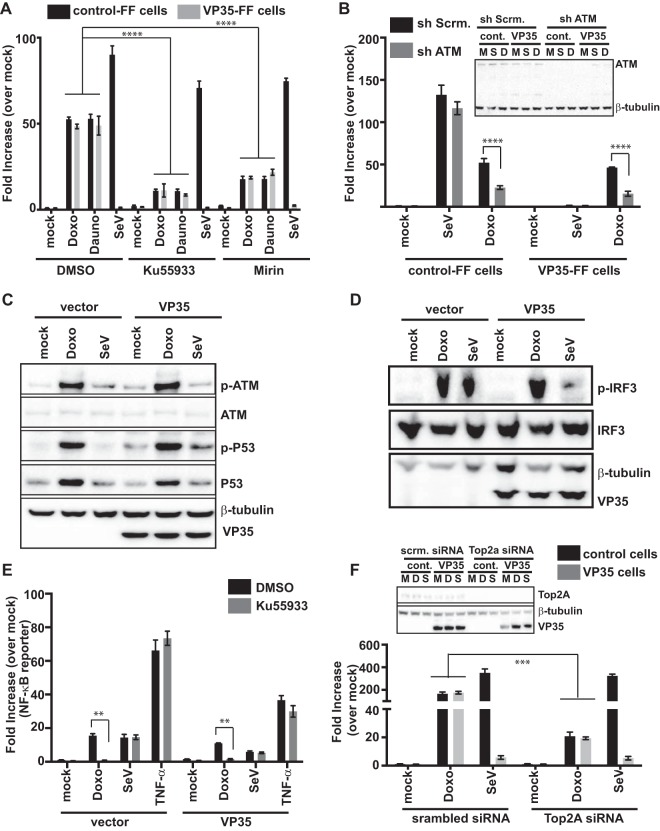 FIG 4 