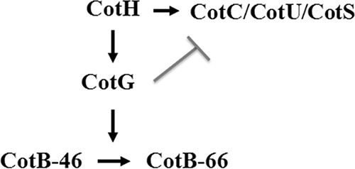 FIG 1