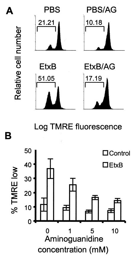 FIG. 6.