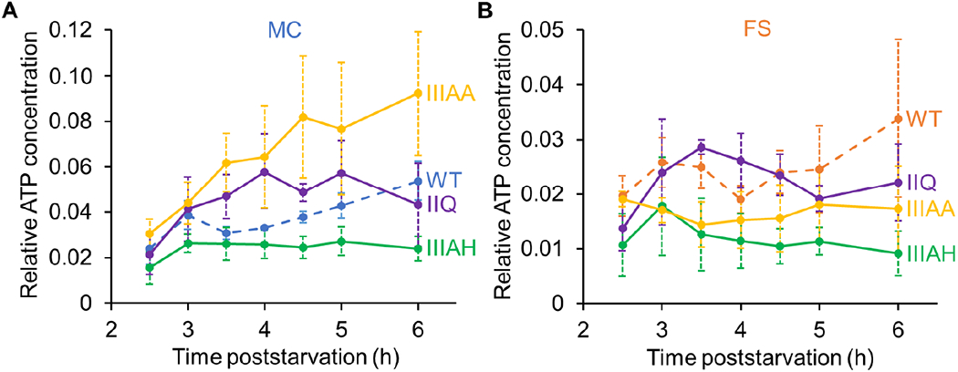 Fig. 6.