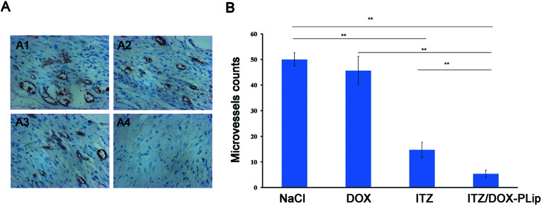 Fig. 8