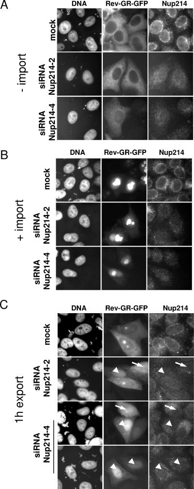 FIG. 6.