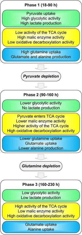 Fig. 7