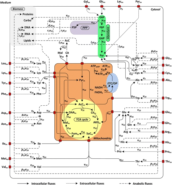 Fig. 1