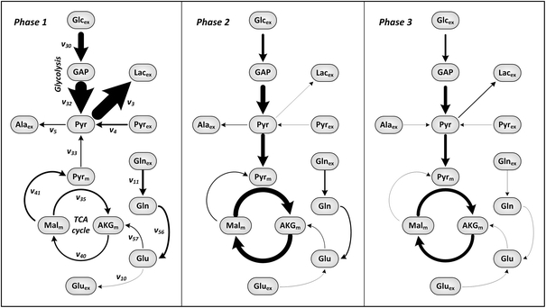 Fig. 6