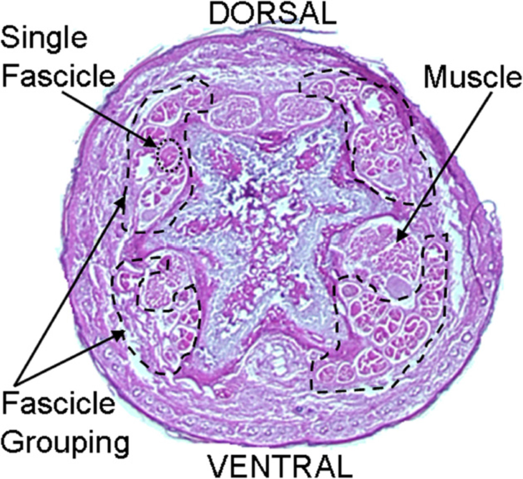 Fig. 2