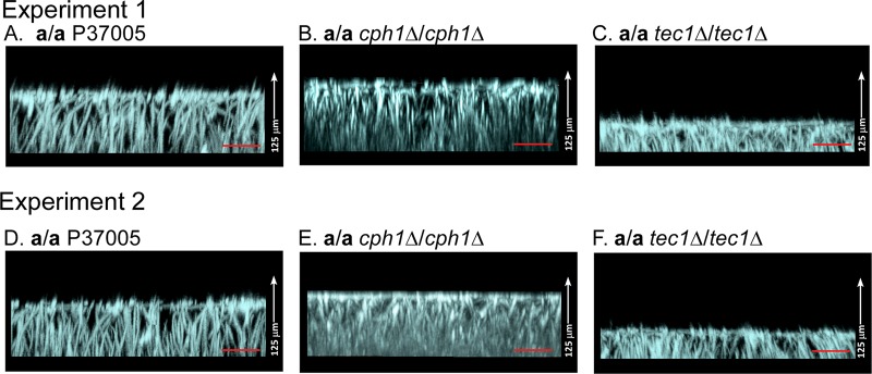 FIG 4