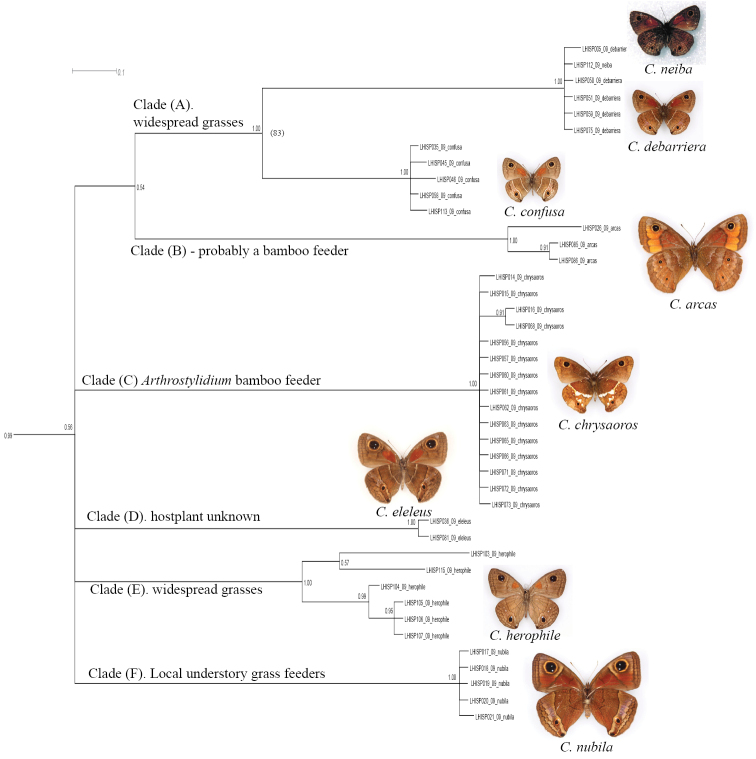 Figure 3.