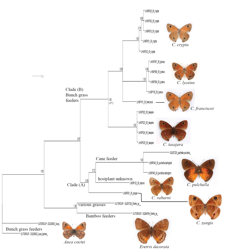 Figure 4.