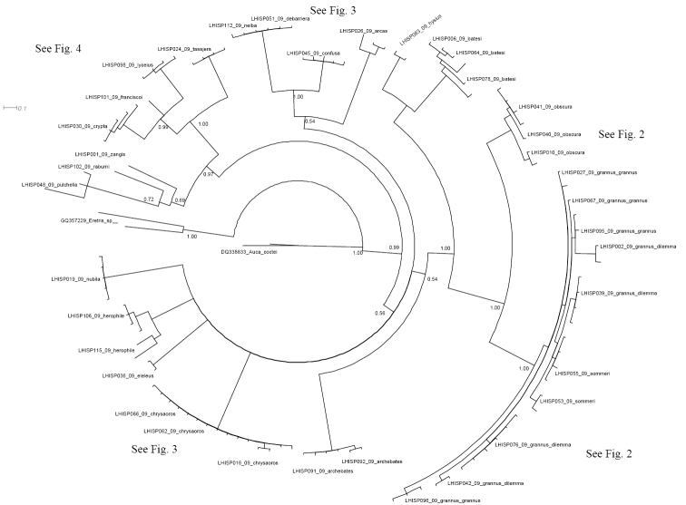 Figure 1.