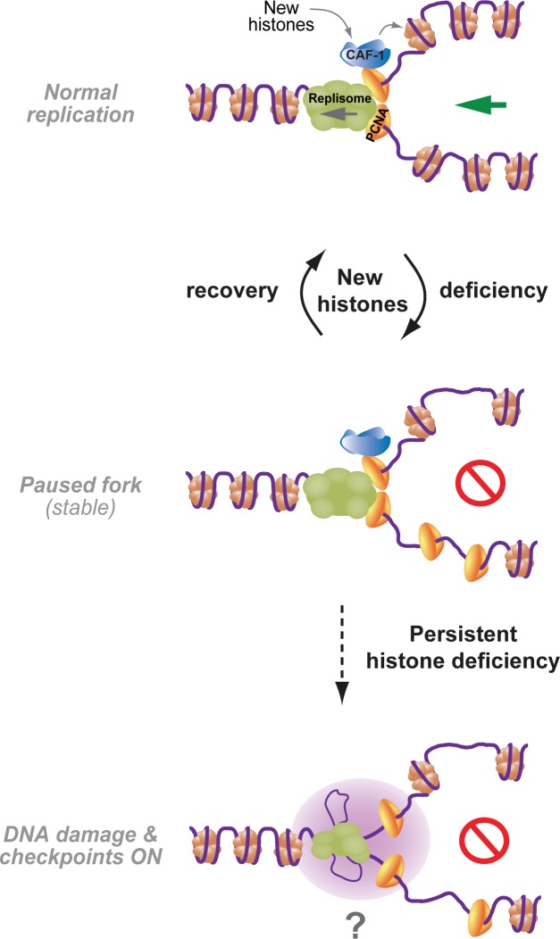 Figure 7.