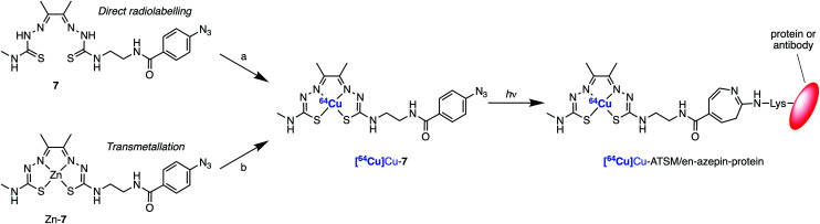 Scheme 3