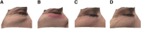 <b>FIG. 5.</b>