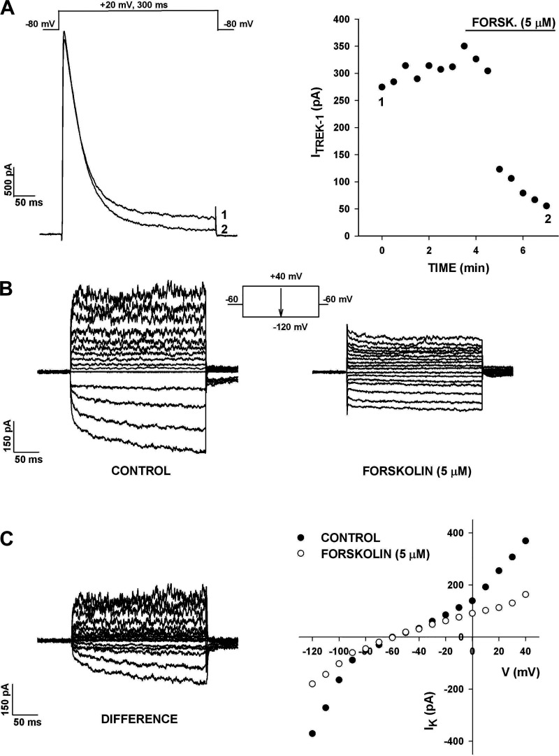 Figure 10.