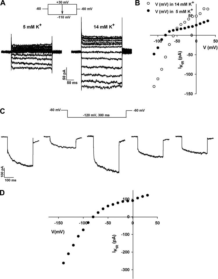 Figure 5.