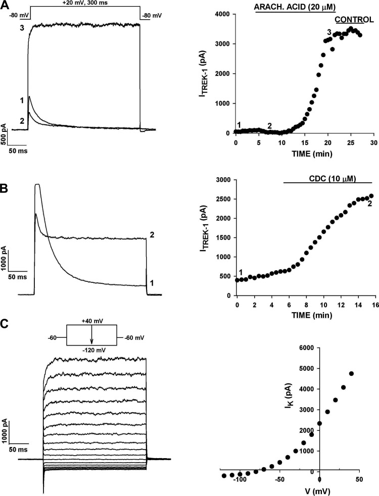 Figure 4.