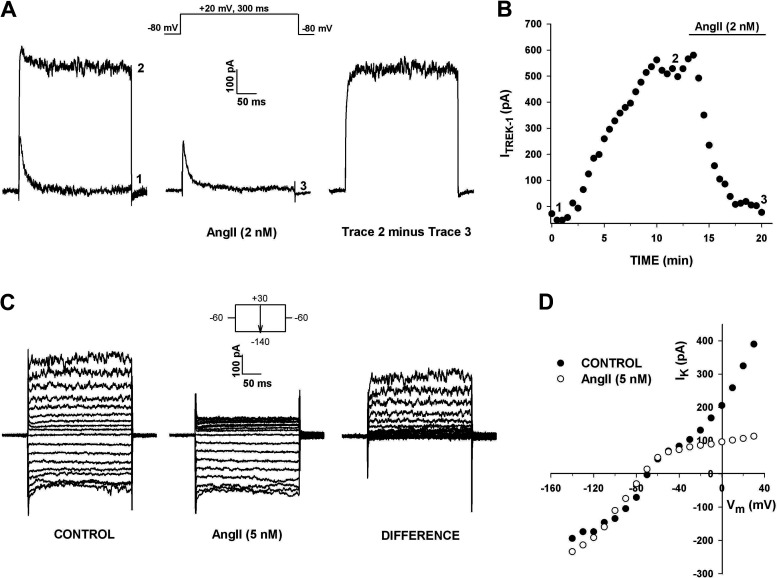 Figure 6.