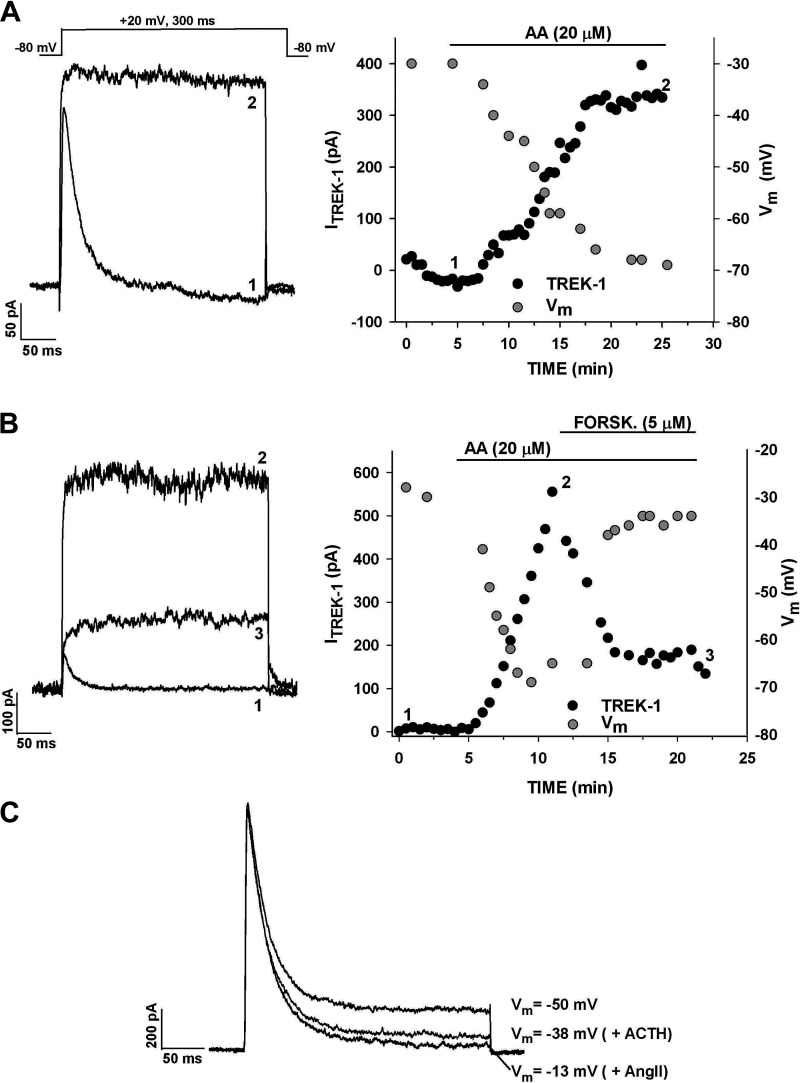 Figure 11.