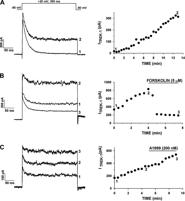 Figure 3.