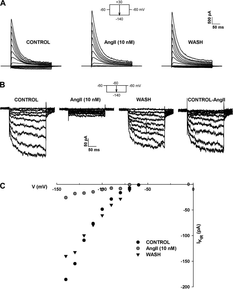 Figure 7.