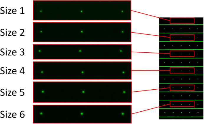 Fig. 6.