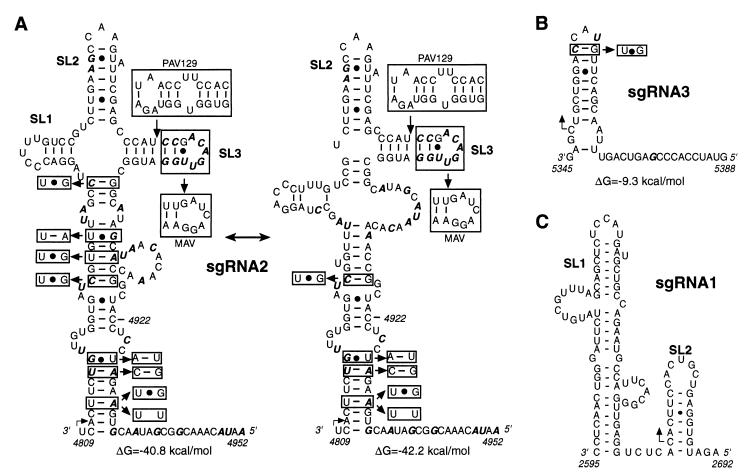 FIG. 6