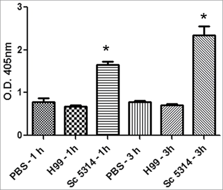 Figure 4.