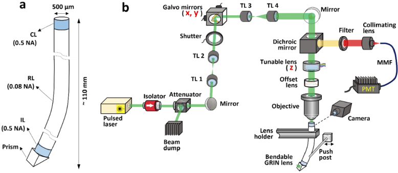 Fig. 1.