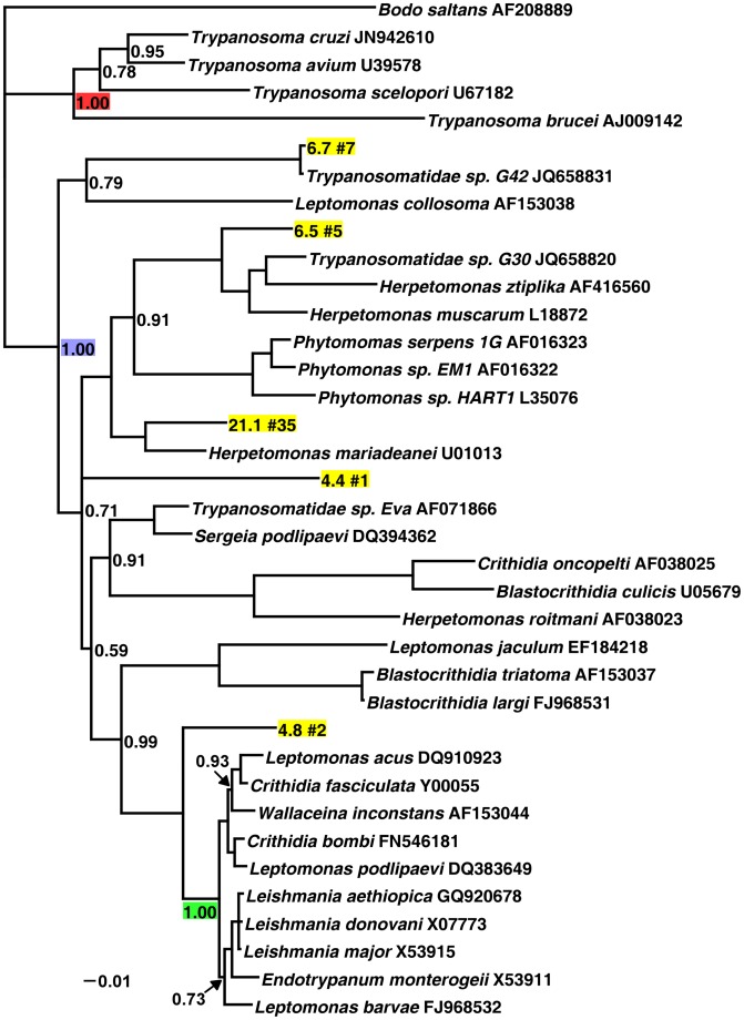 Figure 2