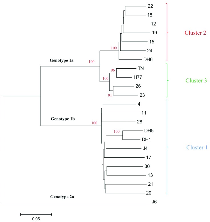 Figure 7