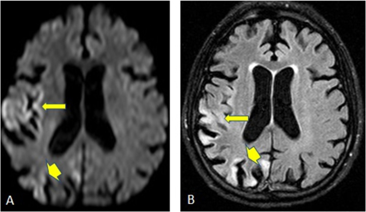 Fig. 6