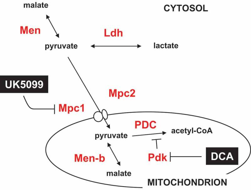 Figure 10.