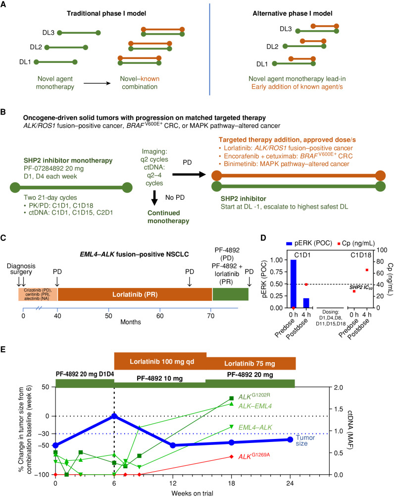 Figure 2. Proof-of-concept clinical activity in an ALK fusion–positive NSCLC patient with resistance to multiple ALK inhibitors. A, Overview of traditional vs. alternative phase I combination trial design. Left, traditional phase I first-in-human trials require a new anticancer agent to be investigated as monotherapy, with the maximum tolerated dose/recommended dose for expansion identified, prior to allowing a combination with a second anticancer drug. If the investigational agent is ineffective on its own, treated patients do not have the opportunity to benefit from a potentially efficacious combination. Right, an alternative design allows patients to receive treatment with a potentially effective combination after an initial period of treatment with the study drug as monotherapy. B, Implementation of early combination testing strategy with the investigational SHP2 inhibitor PF-07284892. Prior to trial enrollment, eligible patients had experienced PD with appropriate targeted therapy. Patients begin treatment with PF-07284892 monotherapy on study. Early combination with appropriate targeted therapy (lorlatinib, encorafenib + cetuximab, or binimetinib, each at the approved dose) may be initiated after a minimum of 6 weeks of PF-07284892 monotherapy, in the absence of ongoing grade ≥3 toxicity or DLT, and after PD (symptoms of PD without tumor growth ≥20% was allowed). At the start of the combination, the PF-07284892 dose must be lowered if the monotherapy dose level the patient was enrolled to has not yet been cleared from a safety perspective. The dose may subsequently be escalated to the highest monotherapy dose that has been cleared. C, The patient's previous systemic therapies included four approved ALK inhibitors. Parentheses show the best overall response to each treatment. D, Peripheral blood was isolated from the patient prior to and 4 hours after dosing with PF-07284892 on C1D1 and C1D18, and levels of PF-07284892 in plasma and of pERK in ex vivo CSF1-stimulated peripheral blood monocytes were analyzed (C1D18 samples for pERK were not available). The last dose of PF-07284892 prior to the C1D18 predose sampling was C1D15. The horizontal dashed line indicates PF-07284892 concentration required to inhibit 50% of pERK in cells in vitro. E, Changes in the sum of the longest tumor diameters of target lesions (blue, normalized to the start of combination) and in EML4–ALK, ALK–EML4, ALKG1202R (shades of green), and ALKG1269A (red) in ctDNA. C, cycle; Cp, plasma concentration; CRC, colorectal cancer; ctDNA, circulating tumor DNA; D, day; DL, dose level; MAF, mean allele frequency; NA, not available; PD, progressive disease; pERK, phosphorylated ERK; PF-4892, PF-07284892; PK/PD, pharmacokinetics/pharmacodynamics; POC, percent of control; PR, partial response; qd, every day.