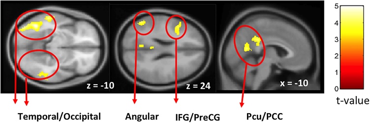 Fig. 5