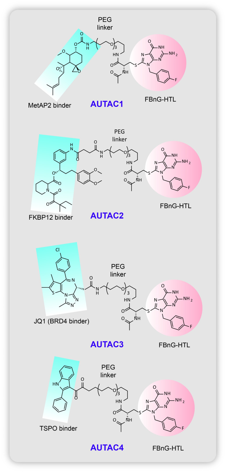 Fig. 9