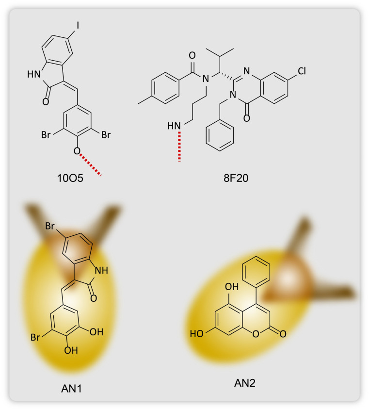 Fig. 12