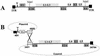 FIG. 2.