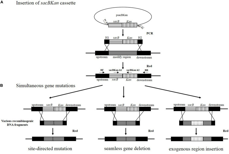 FIGURE 1