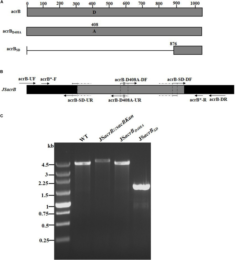 FIGURE 6