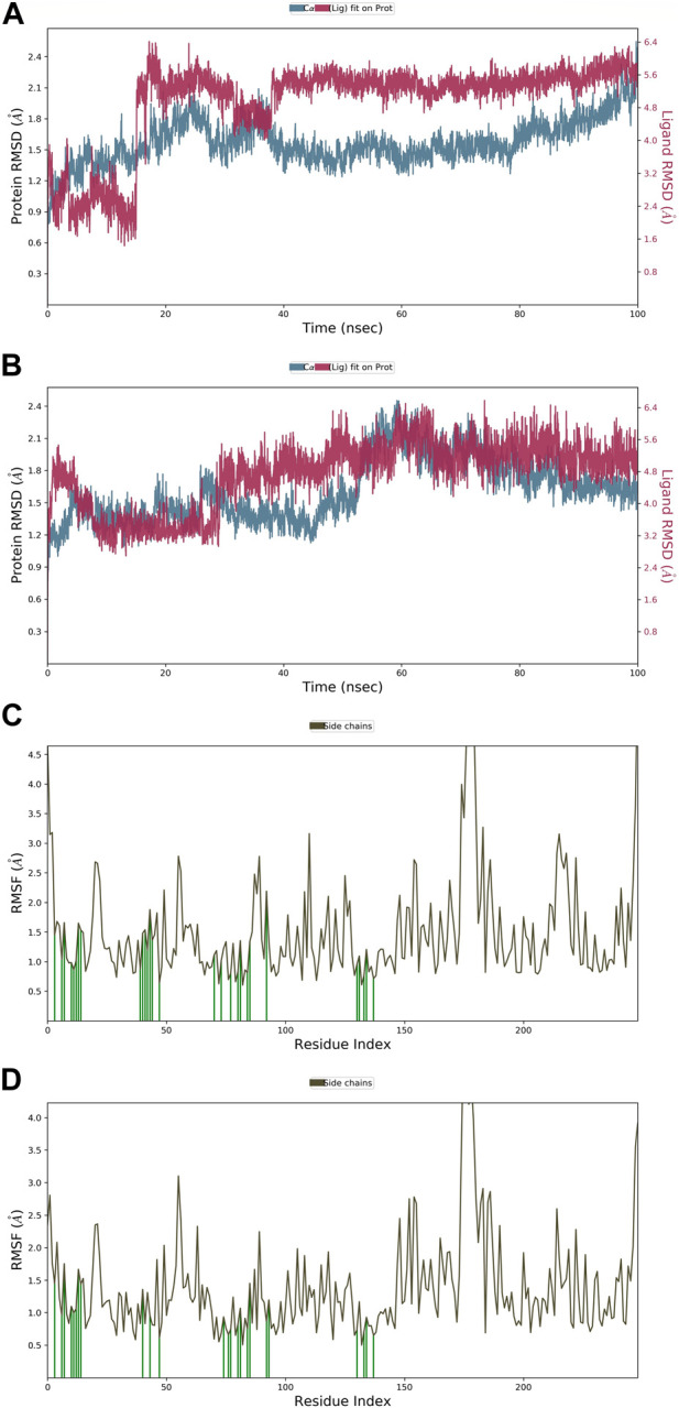 FIGURE 4