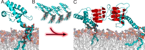 Fig. 6.