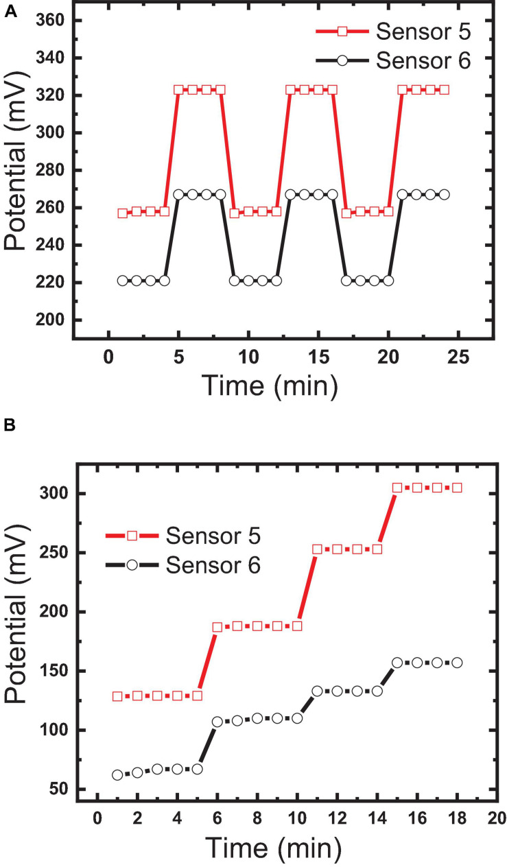 FIGURE 11