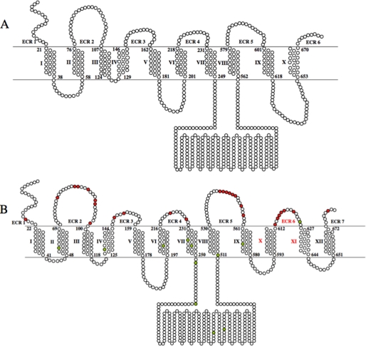 FIGURE 8.