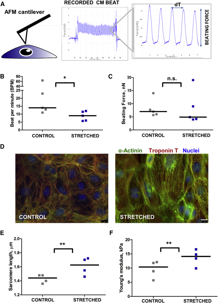 Figure 4