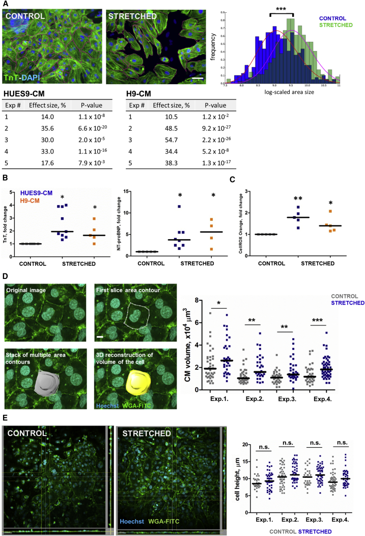 Figure 2