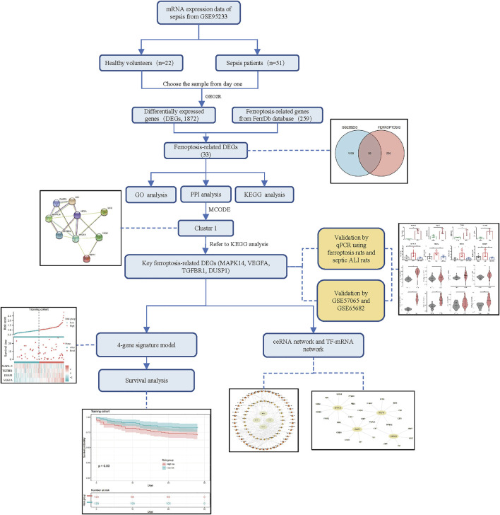 FIGURE 1