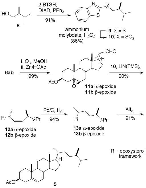 Scheme 2